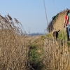 Parkgate Dog Walkers