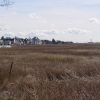 Parkgate Saltmarsh