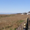 Parkgate Saltmarsh