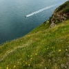 Cliffs at St Bees
